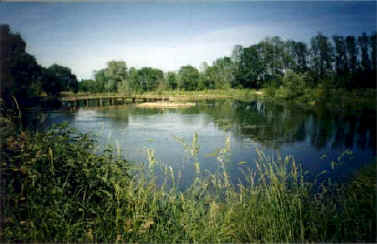 Wellspring at Taize